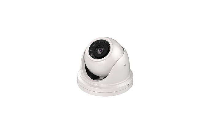 Night Vision Waterproof Fish Ceiling Camera BR-RVC07-N-white